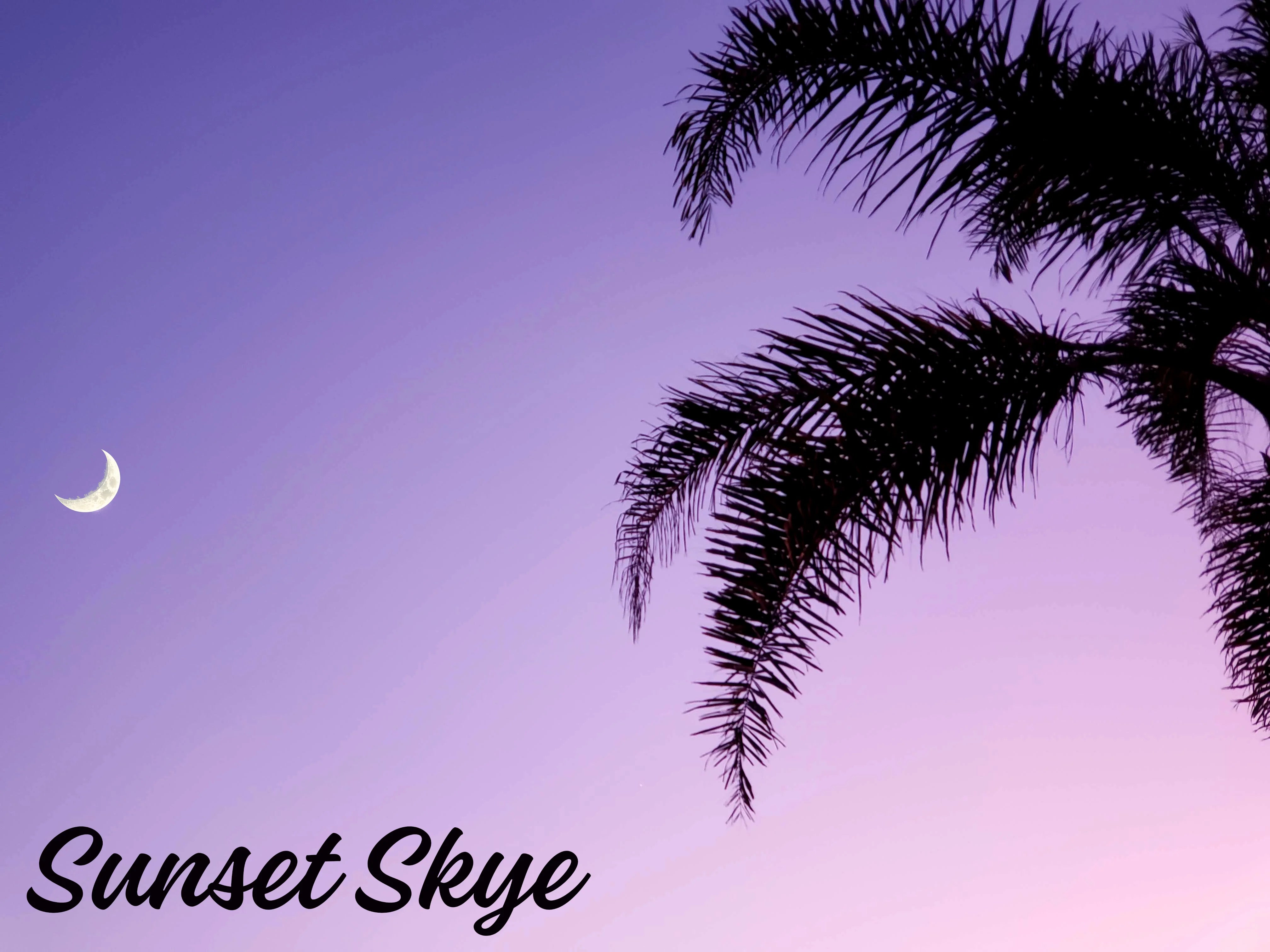 Moony Palm Collection